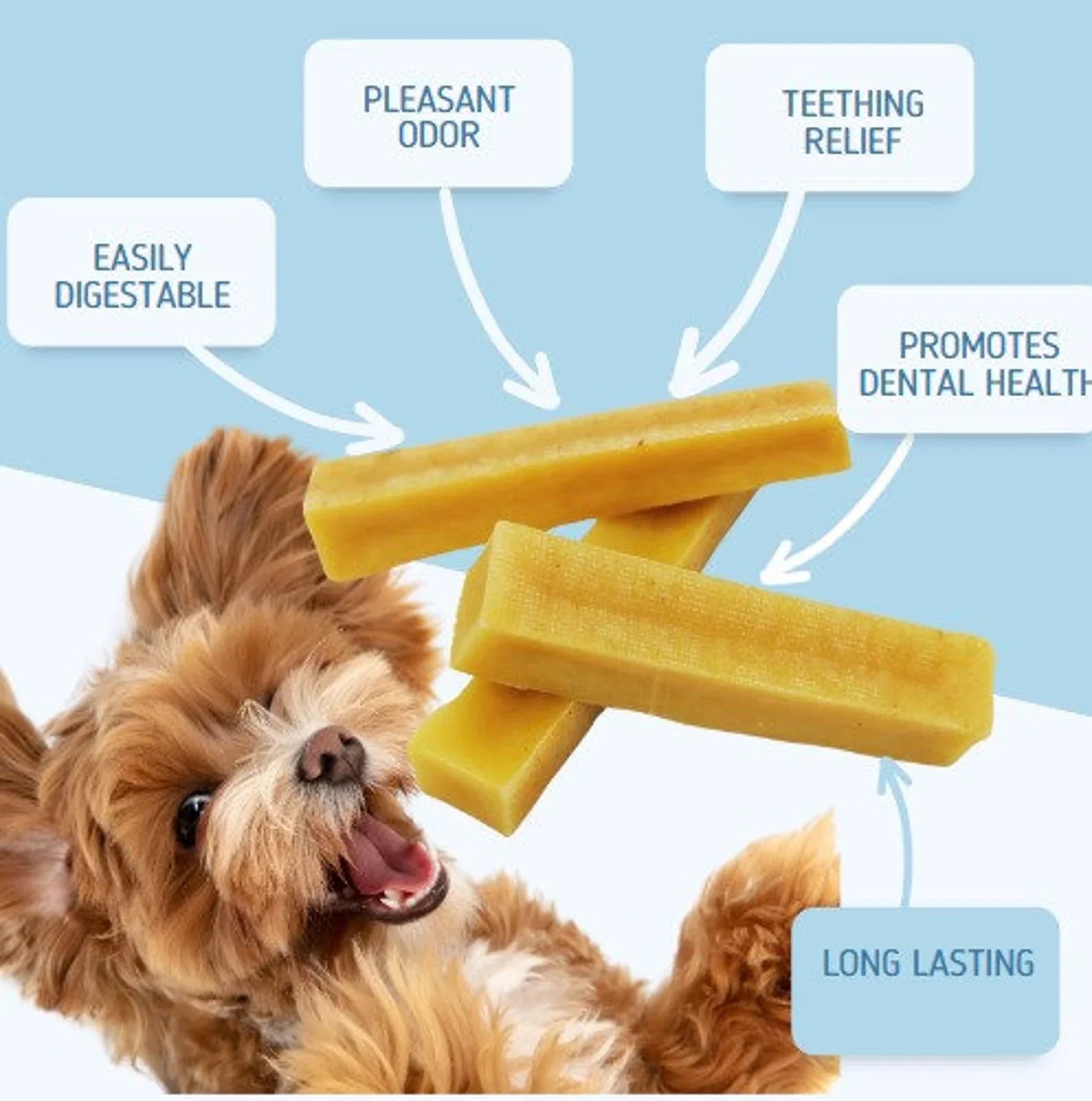 Chanky Natural Himalayan Dog Chews